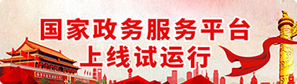 国家政务服务平台上线试运行